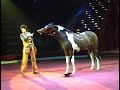 Yakubovskie.ru Comic Cowboy Horse Moscow Circus, Цирковой номер Комический Ковбой Якубовские