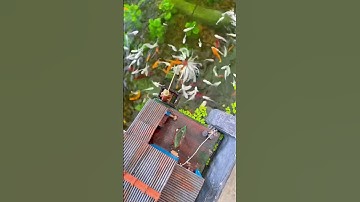 Ông 5 tiếp tục đi câu cá