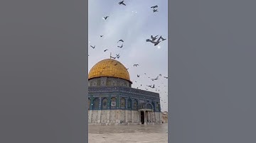 آيات من سورة القمر 🤍🌿