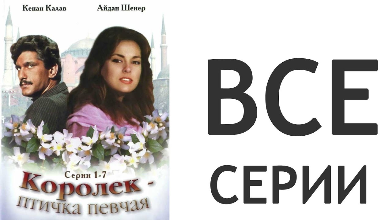 Королек - Птичка Певчая 1986 года. Турецкий сериал на русском языке ...