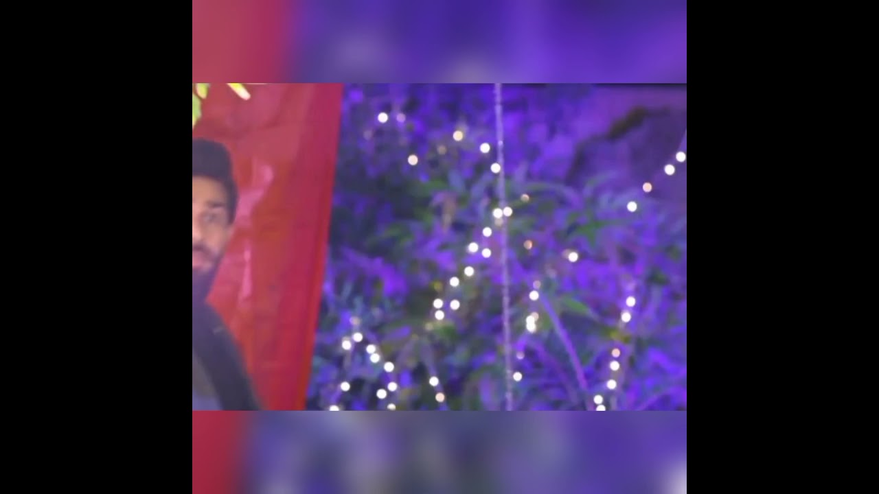 Rang Mahal Drama lines|Mahapara dialogues|Best lines|Status lines|