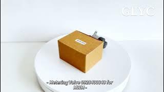 Fuel Metering Solenoid Valve 0928400848 for MWM