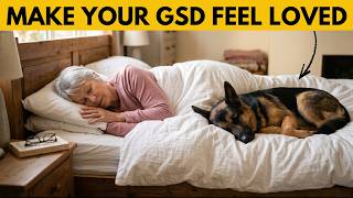 14 Small Gestures That Make Your German Shepherd Feel Deeply Loved