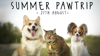 [SUMMER PAWTRIP || 27th August 2023] by CØrgi Fletcher 151 views 7 months ago 3 minutes, 59 seconds