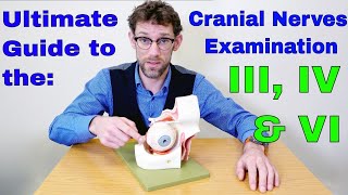 Cranial Nerves III, IV & VI Explained - What do they do and how to examine them - Dr James Gill