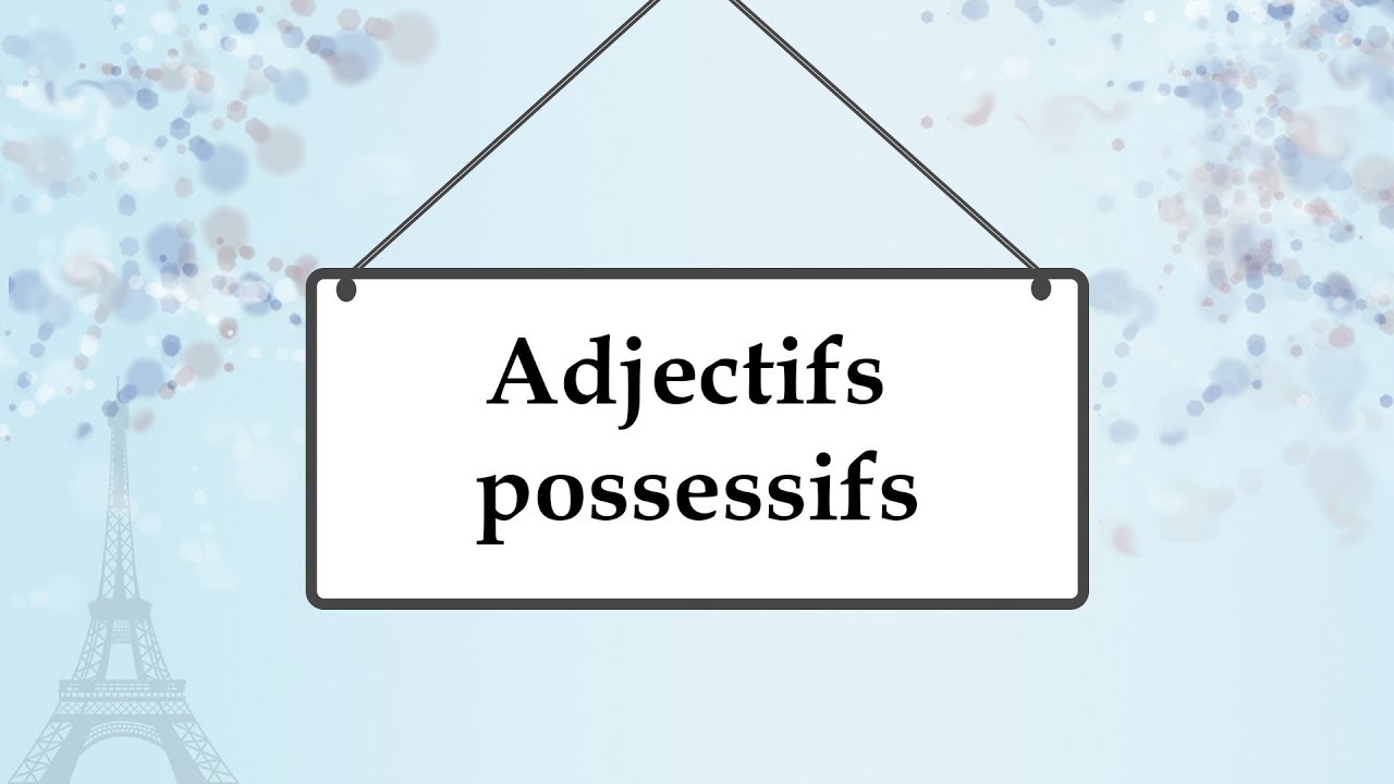 Притяжательные прилагательные во французском языке; adjectfs possessifs
