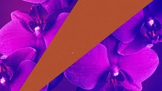 Funkin Matt - Ultraviolet