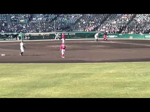 阪神ロハス選手きっちり犠牲フライで勝ち越し打！22.3.9.阪神甲子園球場@レフト外野席
