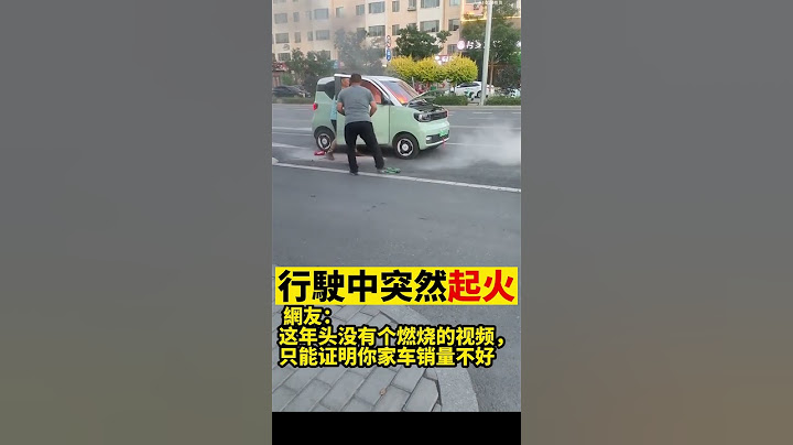 #電動車起火 網友：这年头没有个燃烧的视频，只能证明你家车销量不好 ★牆國紀錄★