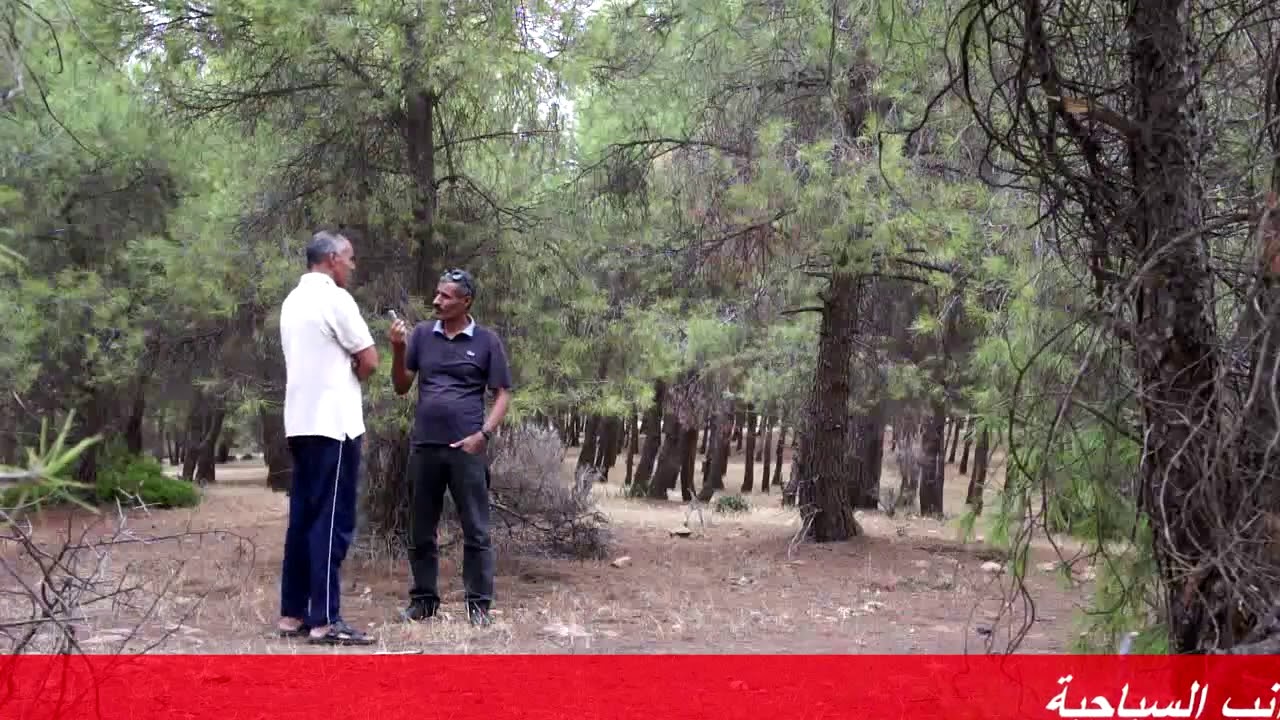 غابة تنيرة منطقة للتسلية