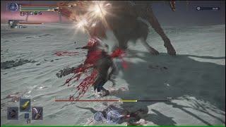 Critic Is Op In Nightreign - Depth 4 Elden Ring Nightreign Gladius Duo