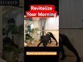 Revitalize Your Morning with These 5 Energy-Boosting Exercises #shorts