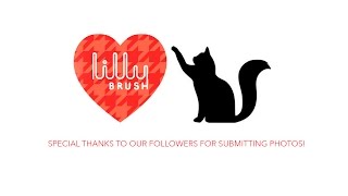 Lilly Brush Cats by Lilly Brush 109 views 7 years ago 39 seconds