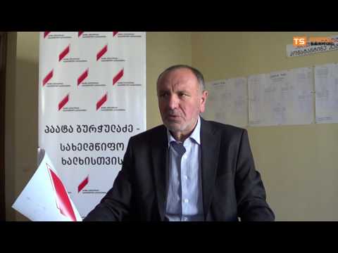 \"პაატა ბურჭულაძე - სახელმწიფო ხალხისათვის\" კანდიდატი კოტე კემულარია