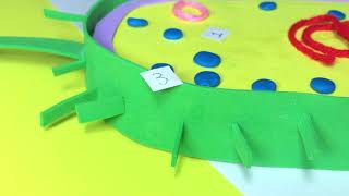 Making a 3D Model of Bacterial Cell-General Biology 1 Midterm Performance Task