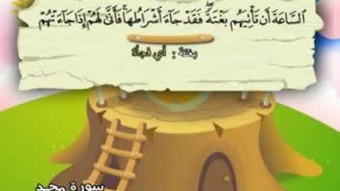 المصحف المعلم للمنشاوي 47 - 114 سورة محمد