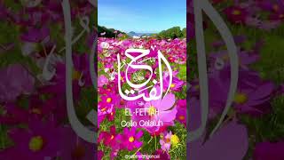 Ya Fettah (Cc) Engin Noyan