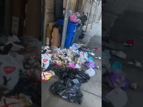 AMERICA 🇺🇸 TRASHY STATE | nyc | the Bronx #travel #usa #trash #street