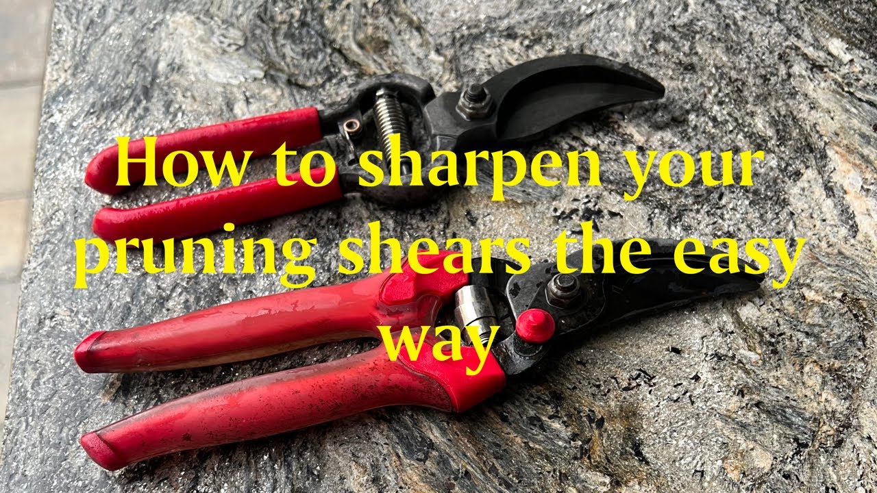 How to sharpen pruning shears in 2 minutes YouTube