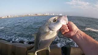 Durban Today - Kingfish SMASH - South Pier