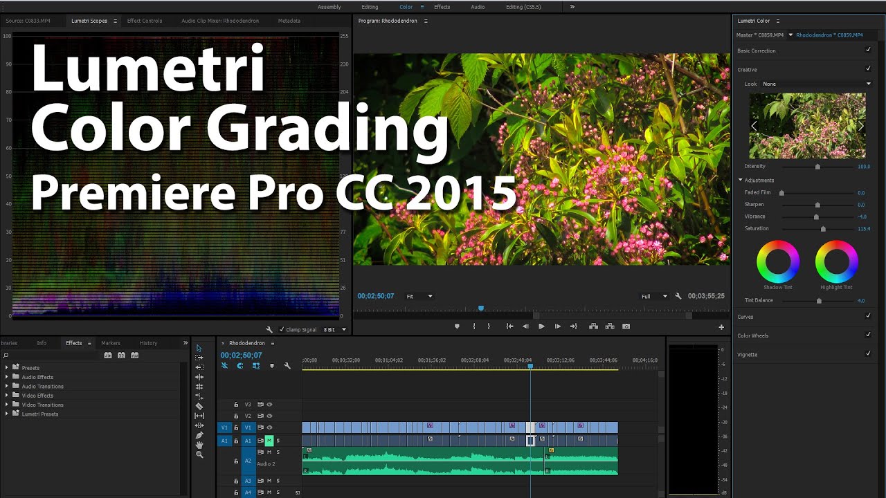 How To Use Lumetri Color Grading In Premiere Pro CC 2015 YouTube How To Use Lumetri Color Grading In Premiere Pro CC 2015 YouTube