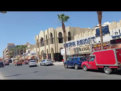 Video: Hurghada Kolm Põõsast