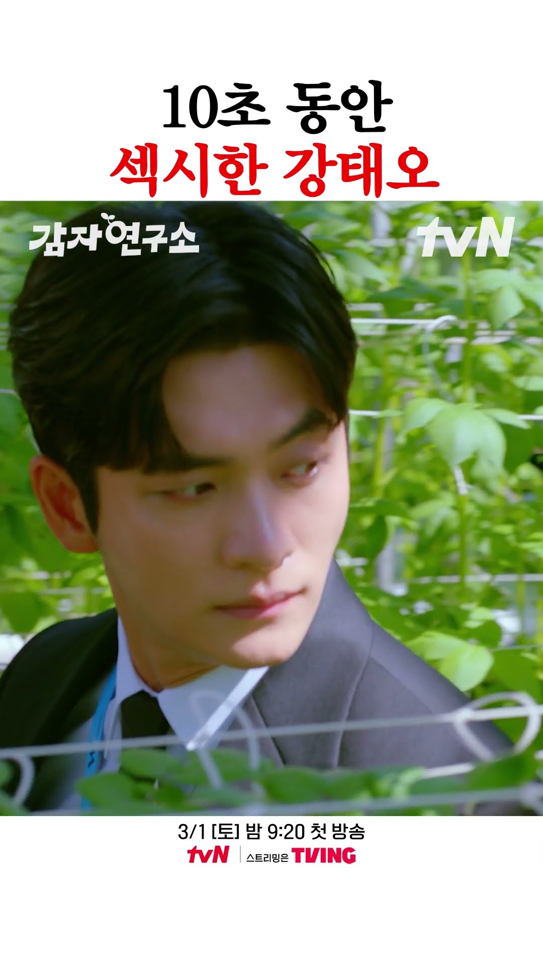 섹시 다이너마이트 강태오 온다... ? #감자연구소
