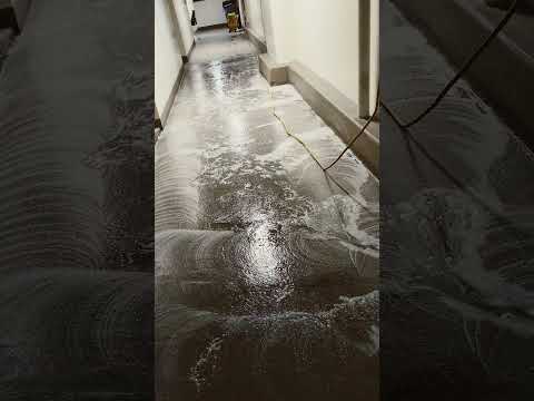 What Am I Doing At Work Here Letsgoviral 