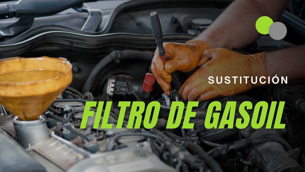 Filtro de gasoil y gasolina: qué es, función y sustitución