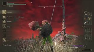 Elden Ring Turnished Turtle Run screenshot 1