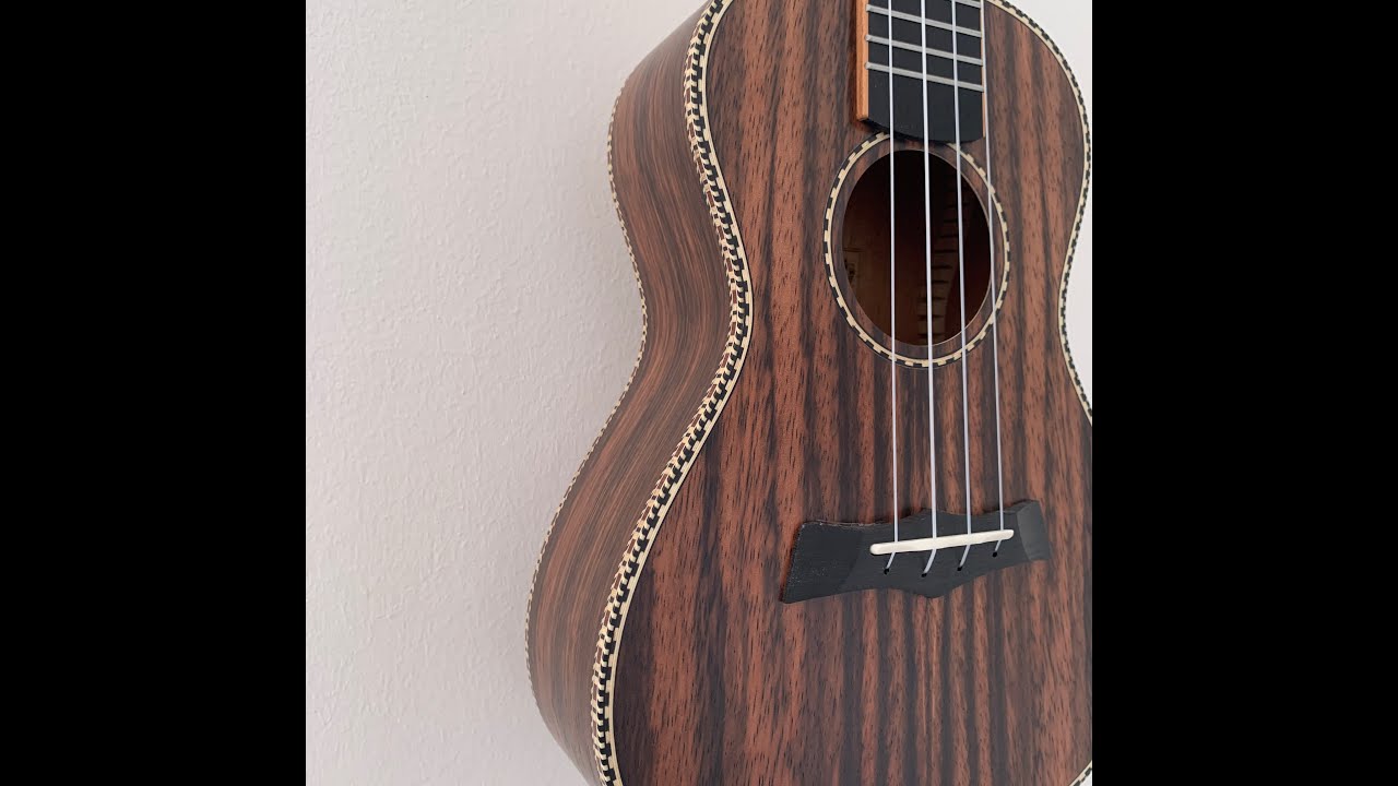 Snail Concert UKC-498 Sound demo