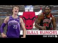 Chicago Bulls Rumors On Lauri Markkanen & Patrick Williams