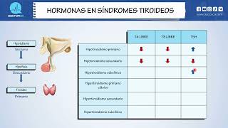 HORMONAS EN SINDROMES TIROIDEOS