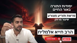 הרב חייא אלמליח פרשת השבוע תזריע מצורע שיעור מרתק על האור החיים | 🔴 שידור חי