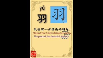 Chinese character video card.羽, Learn Chinese.