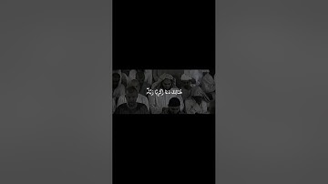 القارئ:ماهر المعيقلي سورة ال عمران #explore #اكسبلور #قران_كريم #quran #قرآن #اكسبلورفولو