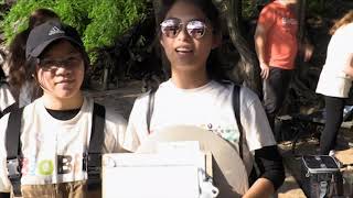 Macaulay BioBlitz 2018: Inwood Hill Park