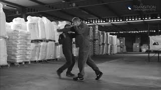 Systema principles: Vectors