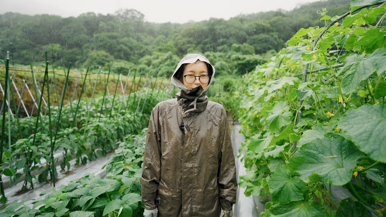 Warning] Pests and Diseases During the Rainy Season Are No Joke! v 