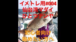 #004 仙台湾ひとつテンヤマダイ（これから始めたい方や初心者向け）