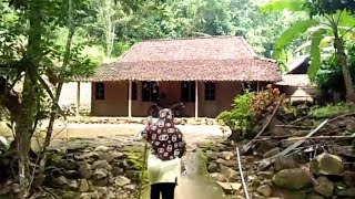 Download Lagu Hidup Sebatang Kara di Desa Asri | Kisah Simbah yang Tetap Tegar di Tengah Sunyi MP3