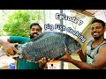 ഏറ്റവും വലിയ മീൻ ഓടി നടന്ന് പാചകം 💥 Episode 7 💥 Quarry Big Fish Cooking | Cooking And Eating