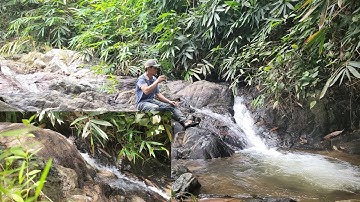 Câu cá giải trí | pha cà phê uống ở Suối trong rừng |đi chơi, khám phá cảnh đẹp thác nước, núi rừng