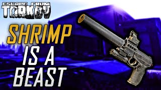 THE SR1MP IS A BEAST | ESCAPE FROM TARKOV HIGHLIGHTS