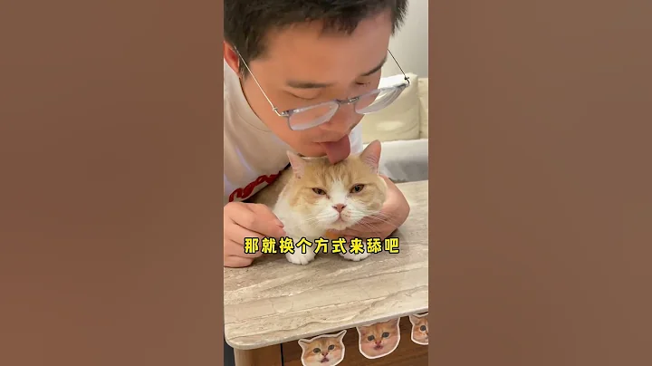 【麻蛋和醜醜】給貓咪舔毛會讓它想起媽媽？怎麼感覺有點不對！ - 天天要聞