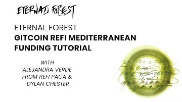 Tutorial: how to support Eternal Forest through Gitcoin