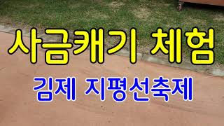 #김제지평선축제 #사금캐기체험 #벼고을사금체험 #김제가볼만한곳 #가족모임하기좋은곳 #넓은펜션 #조치유 #금모래마당펜션 #김제치유농장 #금모래마당치유농장 #김제숙박