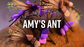 Amy's Ant