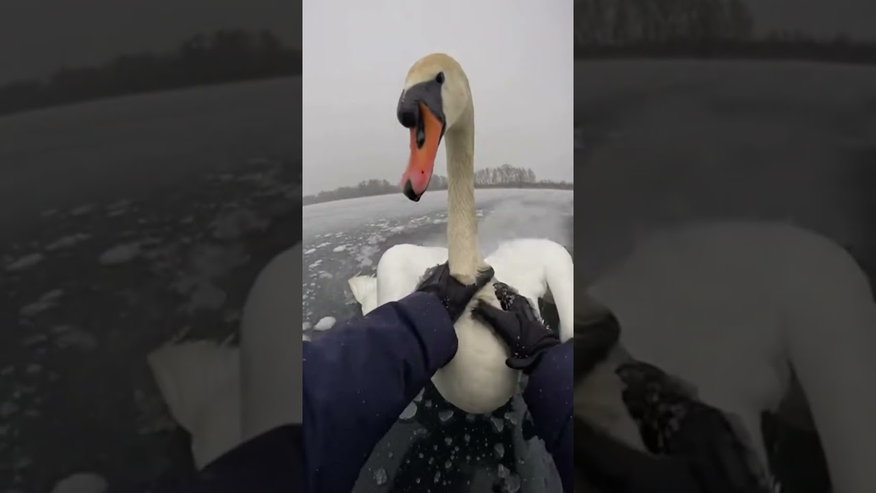 Every Step Could’ve Been My Last — Watch What I Saved 