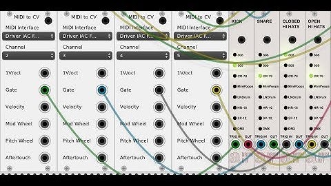 Play Vcv drum modules with Ableton Drum Rack